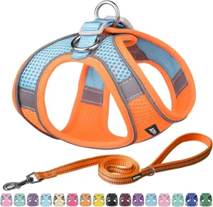 AIITLE Dog Harness, Spring No-Pull Cat Harness with a Leash, Adjustable Reflective Dog Vest, Cat Harness Escape Proof, Outdoor Walking, Camping for Extra Small Dogs and House Cats Orange XXXS