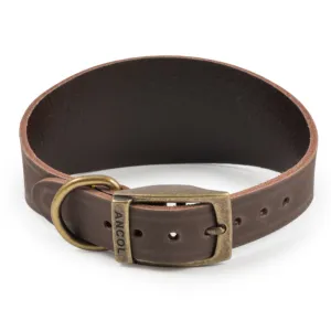 Ancol Timberwolf Greyhound & Whippet Leather Collars Sable 2 Sizes