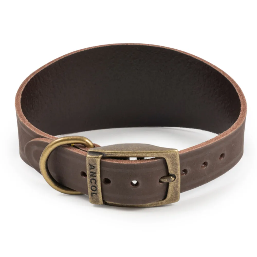 Ancol Timberwolf Greyhound & Whippet Leather Collars Sable 2 Sizes
