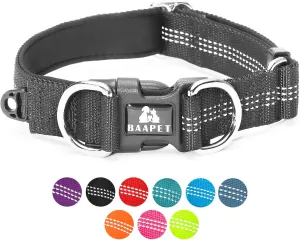 BAAPET Comfortable Dog Collar with Double Security Dual D-Ring and ID Tag Hanger for Small Puppy, Medium and Large Dogs (XS - 3/4" x (9"-13"), Black)
