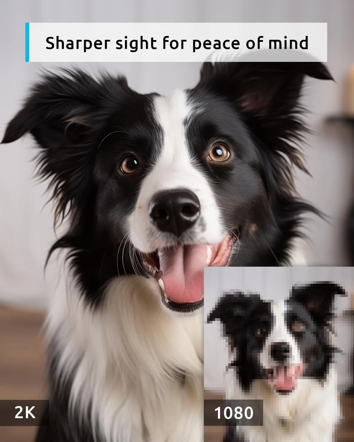 blurams Pet Camera 2K, 360 Dog Camera with Phone App, PTZ Indoor Cameras for Home Security Indoor, 2-Way Audio, Motion Tracking, Color/IR Night Vision, Siren, Cloud&SD(2.4GHz Only)