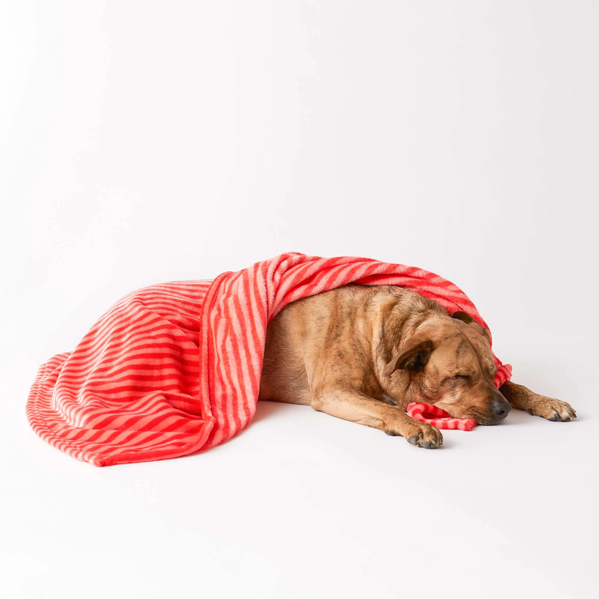 Bone Dry Fleece Pet Blanket, Embossed Bone Print, Red - 36x48"