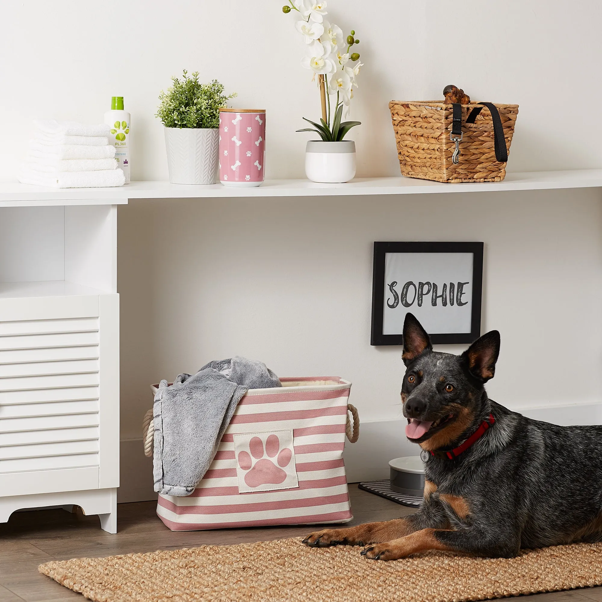 Bone Dry Pet Storage Bin, Striped Paw Patch, Rose, Medium - 16x10x12"