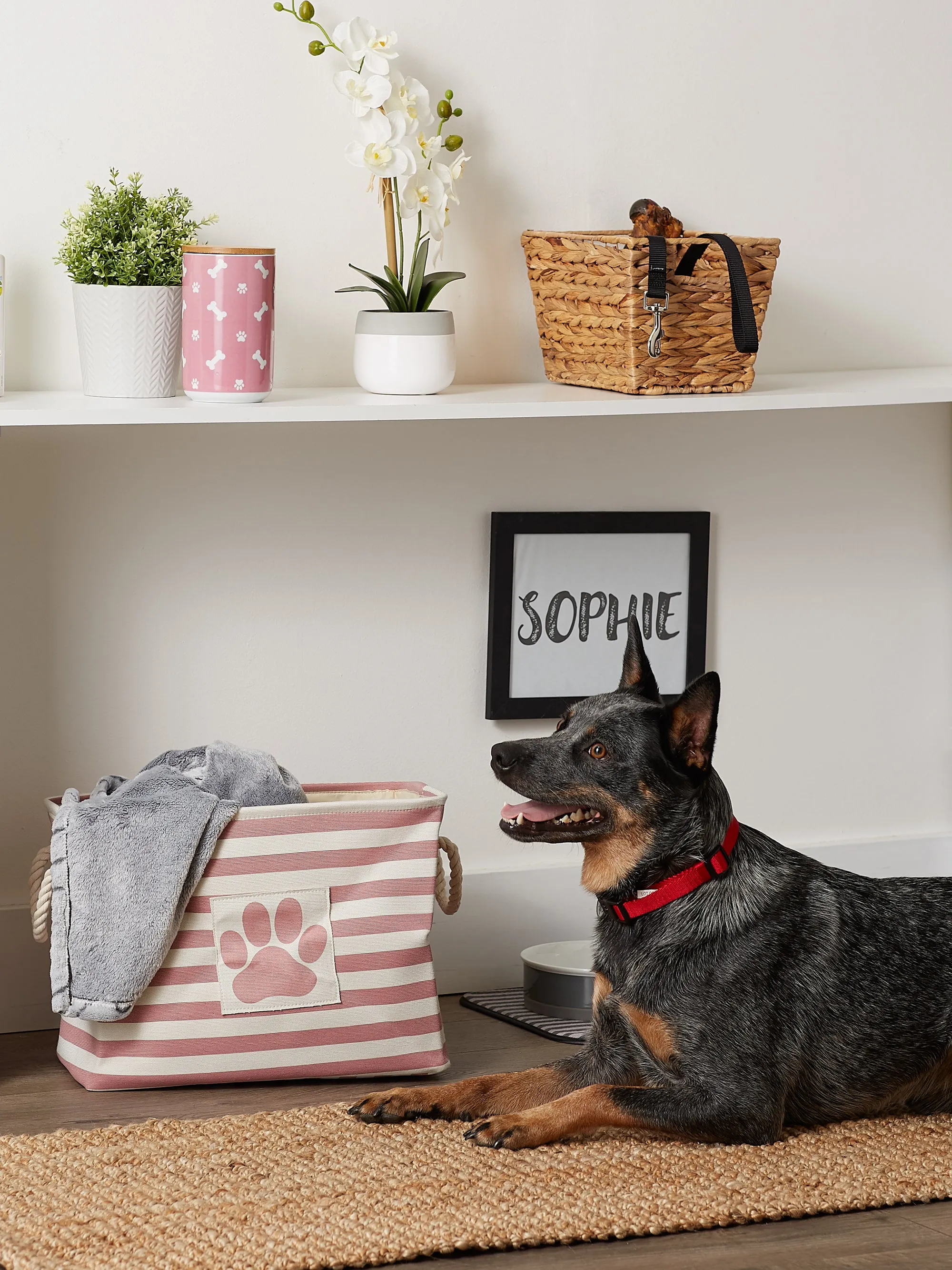 Bone Dry Pet Storage Bin, Striped Paw Patch, Rose, Medium - 16x10x12"