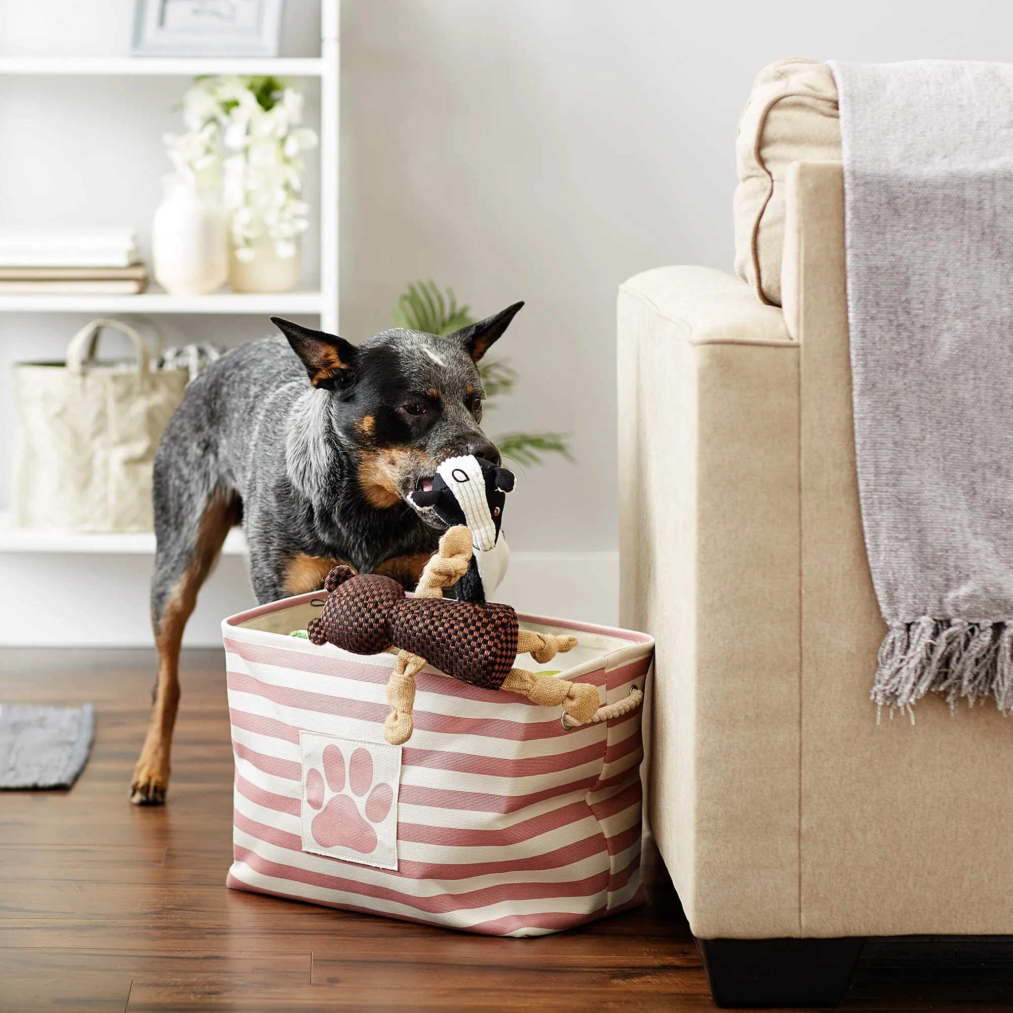 Bone Dry Pet Storage Bin, Striped Paw Patch, Rose, Medium - 16x10x12"