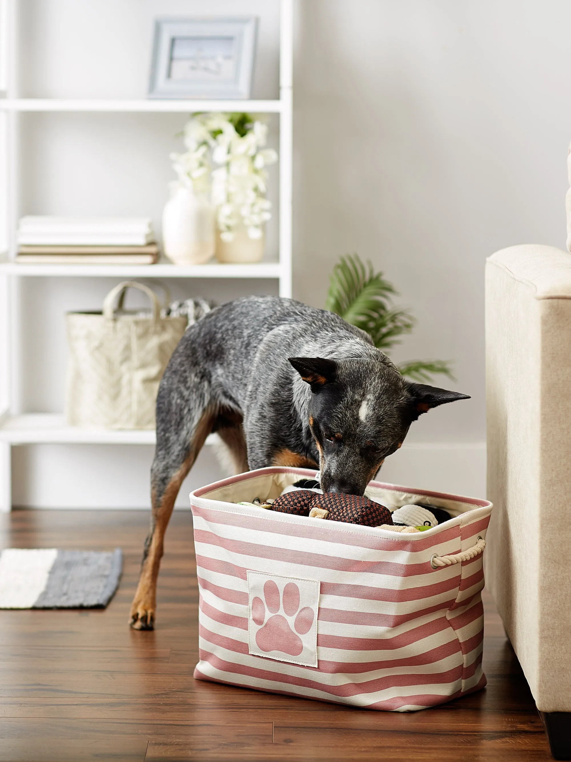 Bone Dry Pet Storage Bin, Striped Paw Patch, Rose, Medium - 16x10x12"