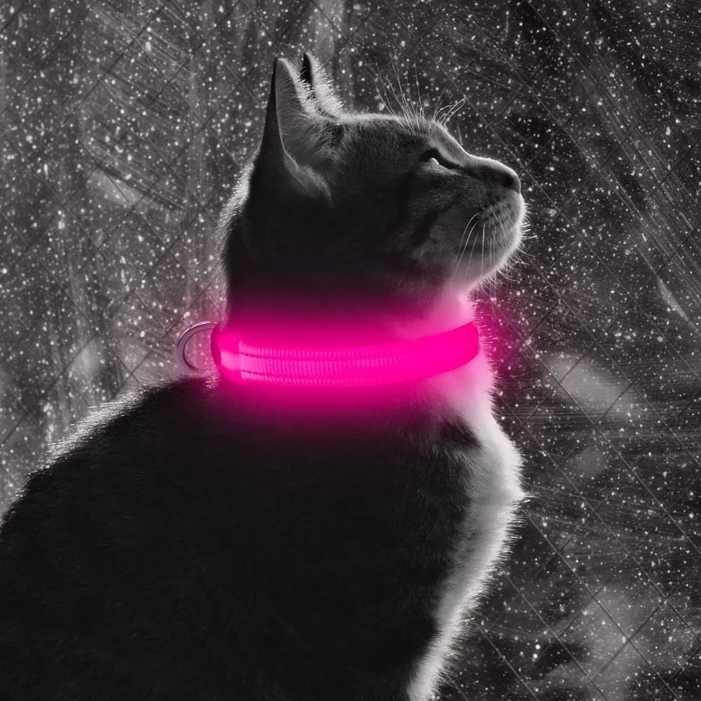 BSEEN Light Up Dog Collar, Rechargeable LED Dog Collar Glow in The Dark Cat Collar Reflective Puppy Collar Safety Dog Lights for Night Walking (Pink, XS)