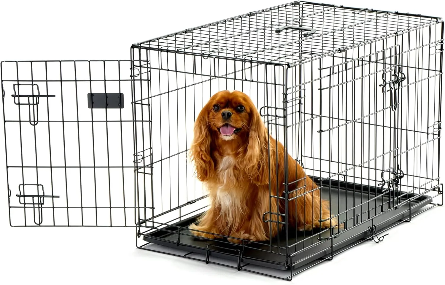 Carlson Secure and Compact Double Door Metal Dog Crate, Medium with Divider Panel