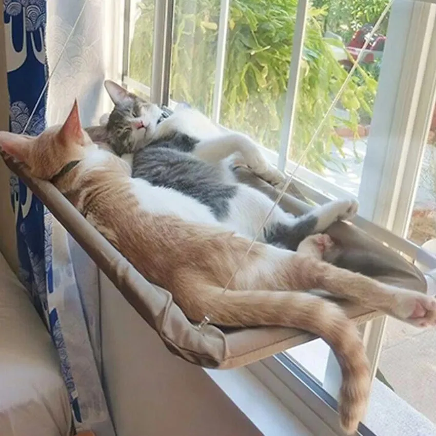 Cat Hanging Beds Pet Hammock Bed For Cats Comfortable Cat Window