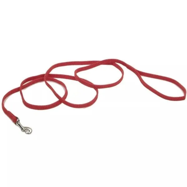 Coastal Sunburst Dog Leash