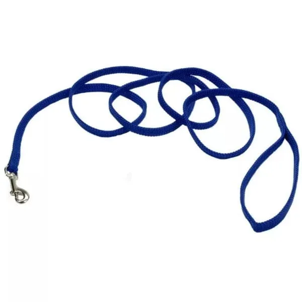 Coastal Sunburst Dog Leash