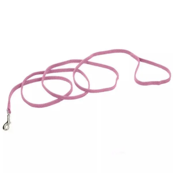 Coastal Sunburst Dog Leash
