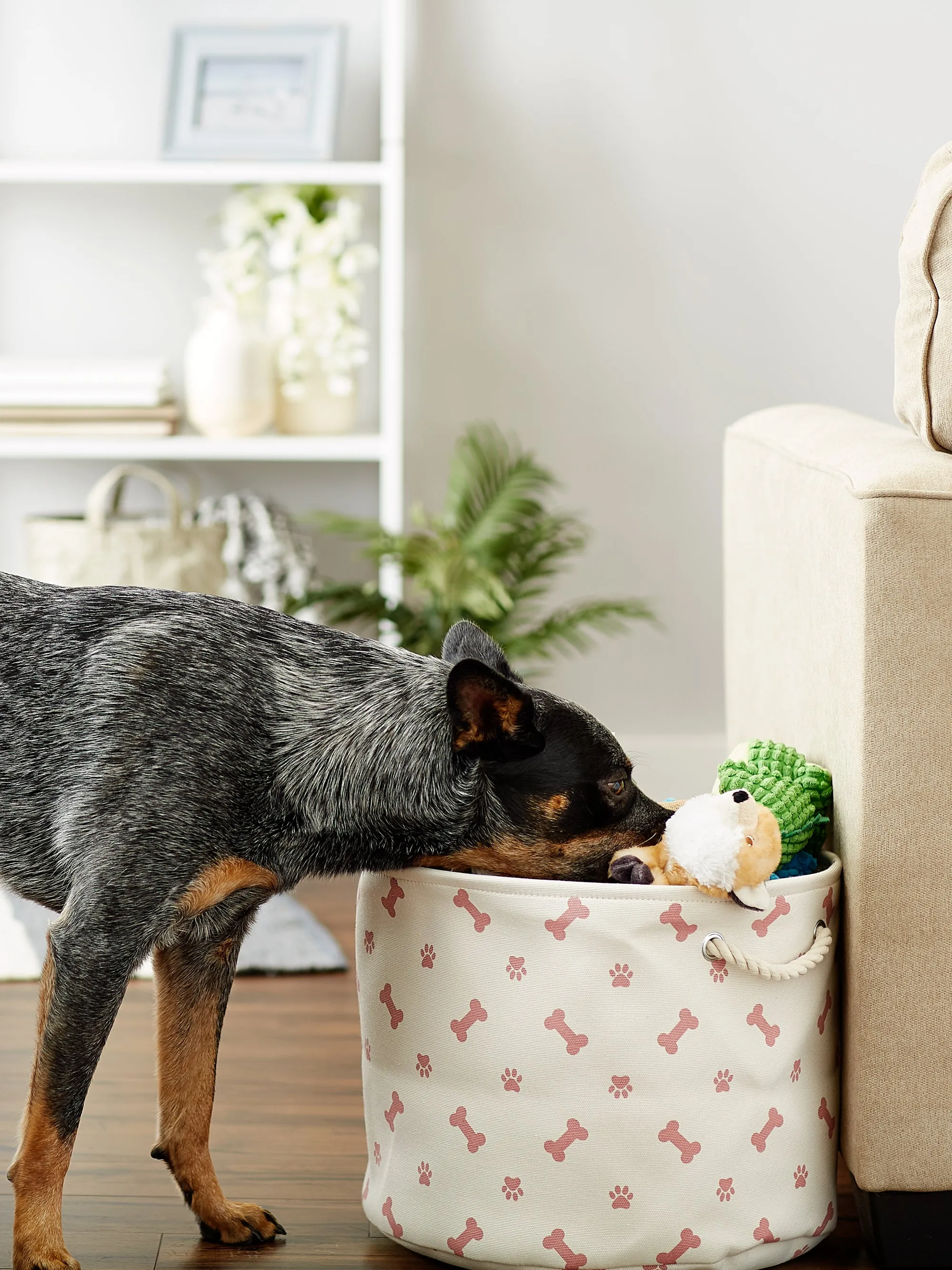 Collapsible Pet Storage Bin, Paw/Bone Print, Rose, Medium Round -12x15x15"