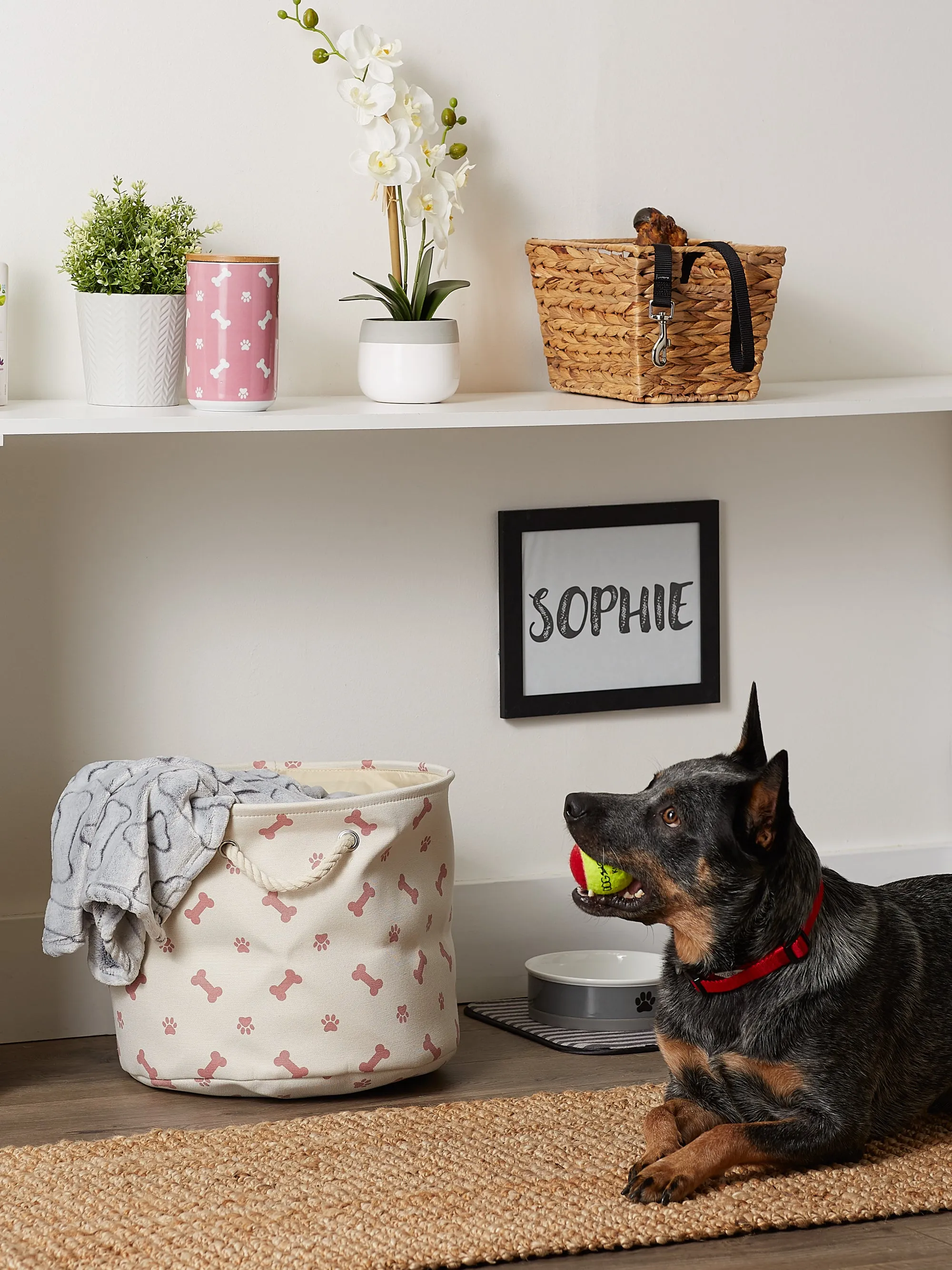 Collapsible Pet Storage Bin, Paw/Bone Print, Rose, Medium Round -12x15x15"