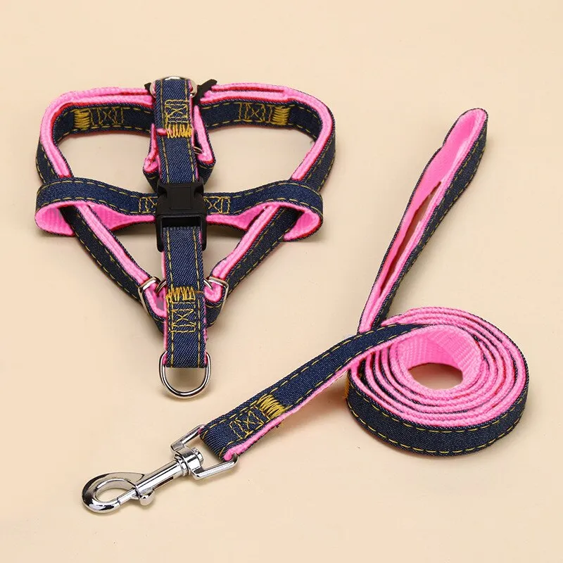 Denim Harness And Leash Set