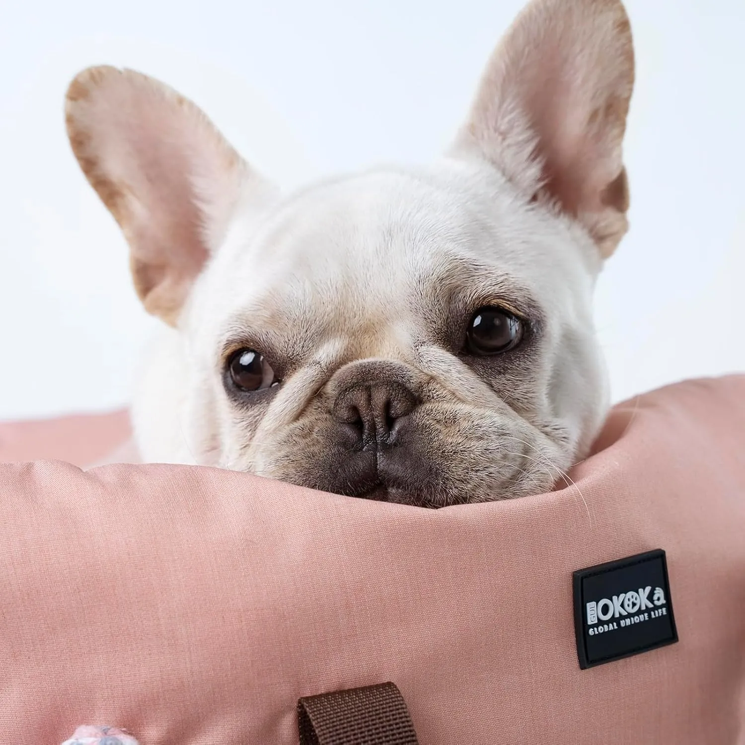 Dog Booster Car Seat for Small Dogs with Heavy Duty Safety Belt and Lock, Waterproof Detachable Dog Travel Bed for Car with Storage Pocket Up to 25lbs, Memory Foam Filling for Max Support,Pink