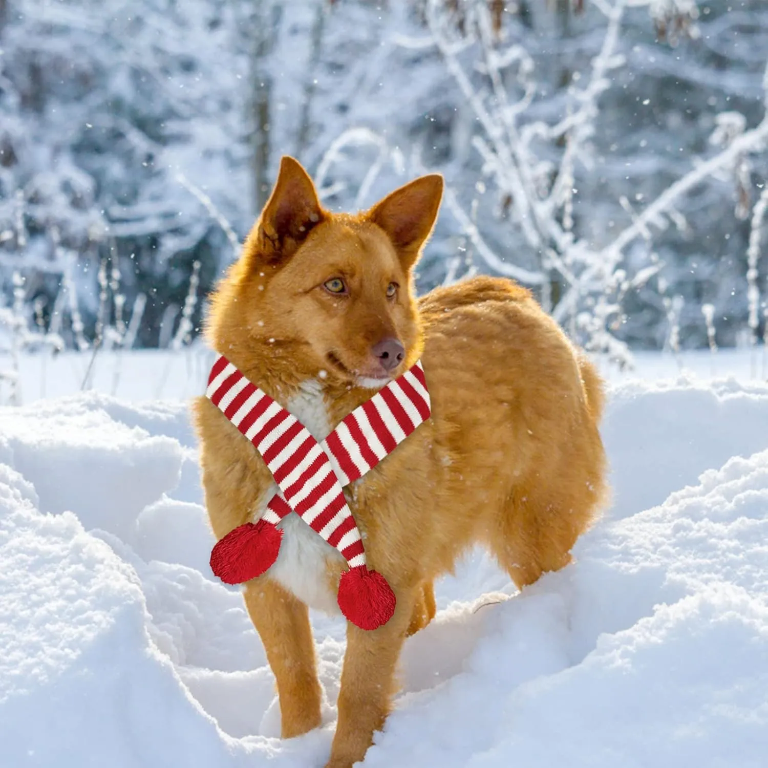 Dog Christmas Scarf Pet Puppy Xmas Knitted Costume Winter Warm Bandanas Neckerchief Cat Neck Warmer Apparel for Holiday Festive (Large, Red White Stripes)