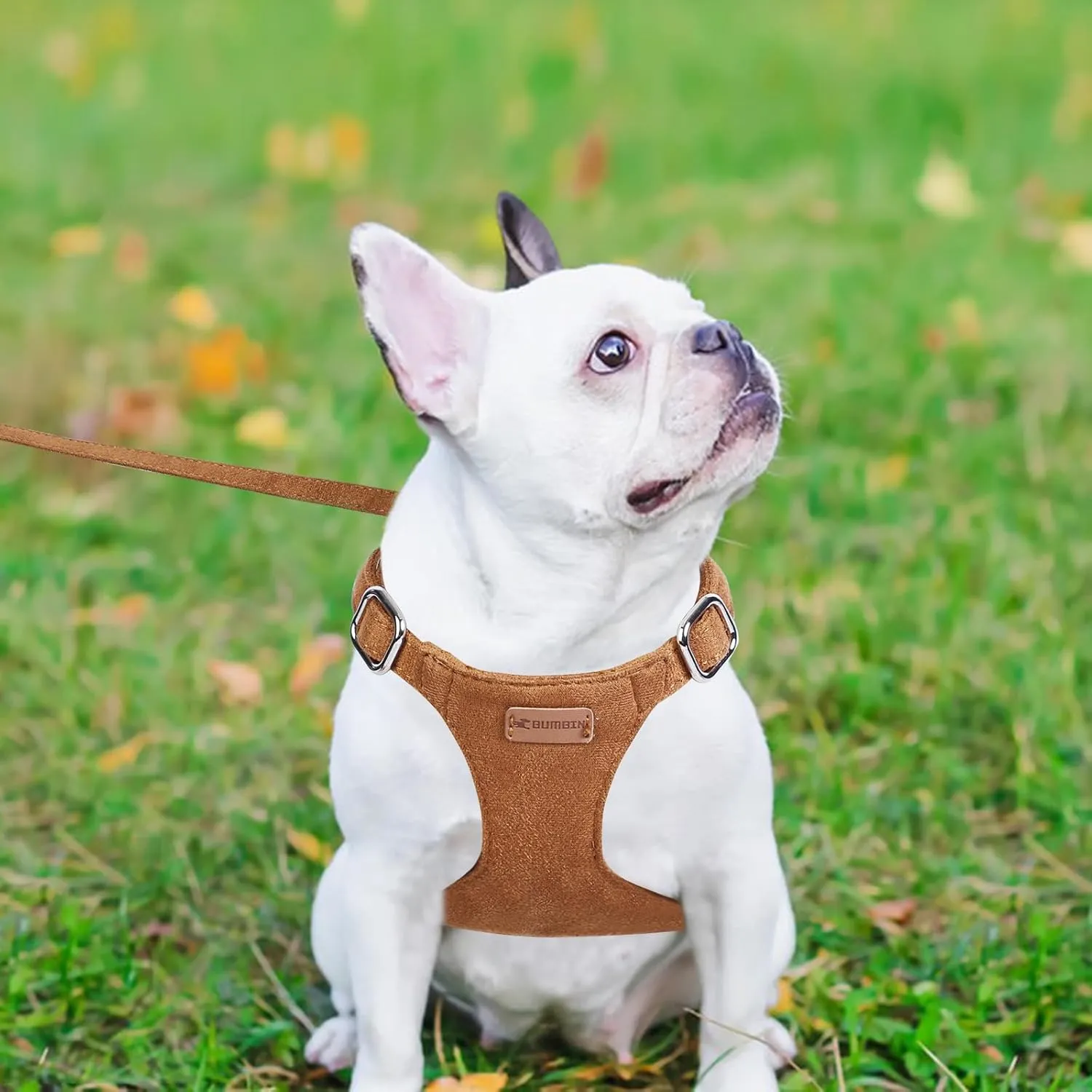 Dog Harness and Leash Set, XXS No Pull Adjustable Puppy Harness with Multifunction Pink Dog Leash and Dog Collar, Soft No Choke Escape Proof Pet Harness Vest for Small Dogs and Cats (Brown, M)