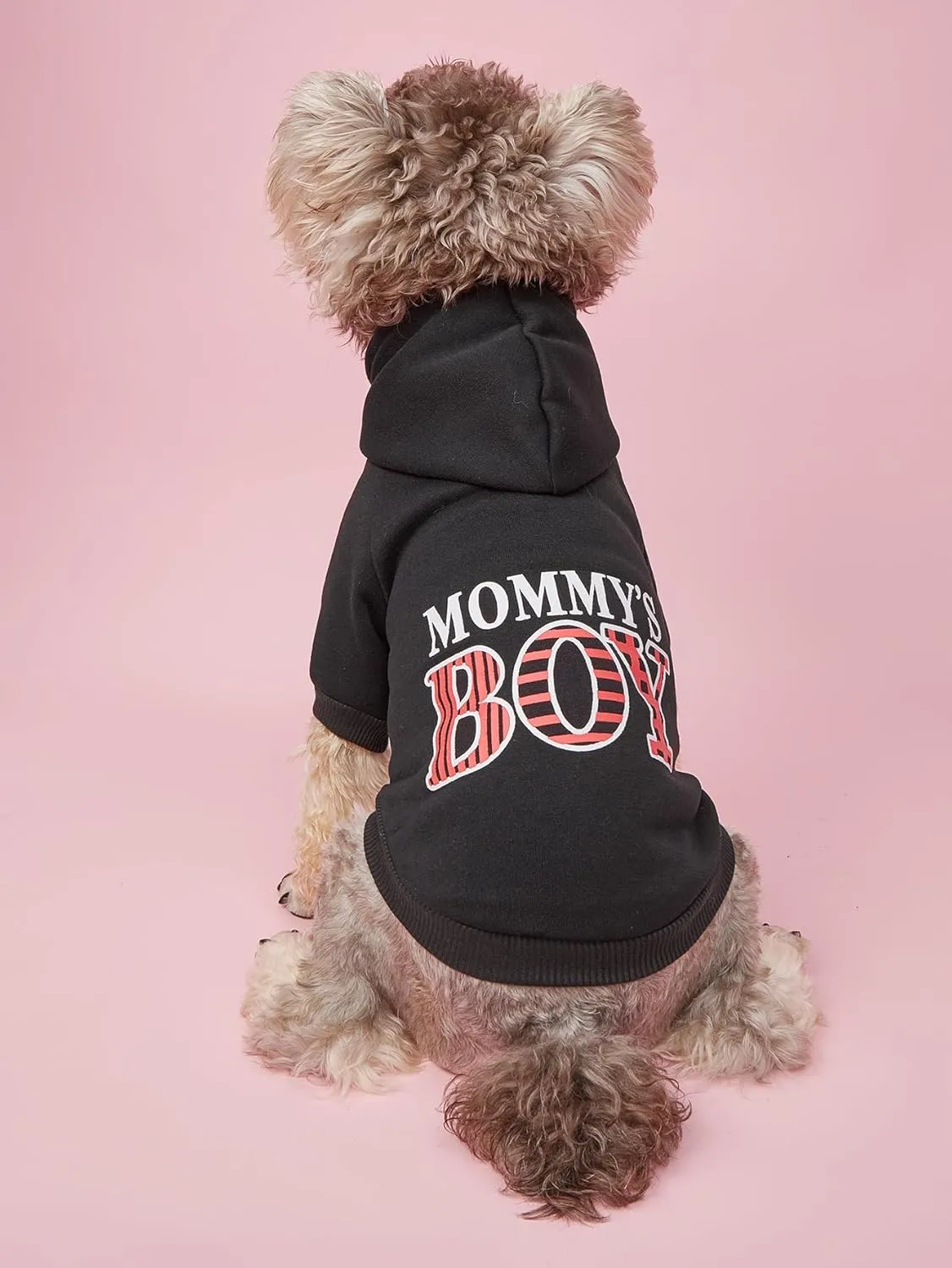 Dog Hoodie Winter Pet Costumes: Mommy's BOY Lettered Printed Puppy Soft Sweatshirt with Leash Hole, Winter Fleece Dog Hooded Clothes Pet Cat Warm Outfits (Black, X-Small)