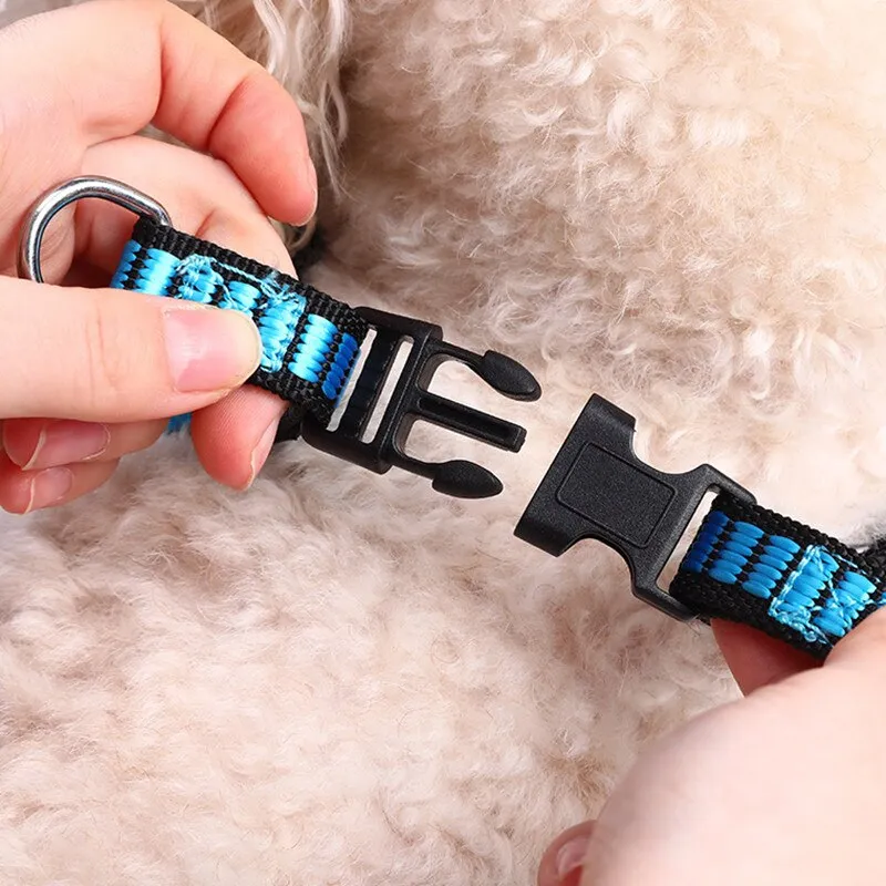 Dog Outdoor Harness And Leash Set
