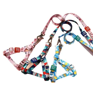 Durable Vest And Leash
