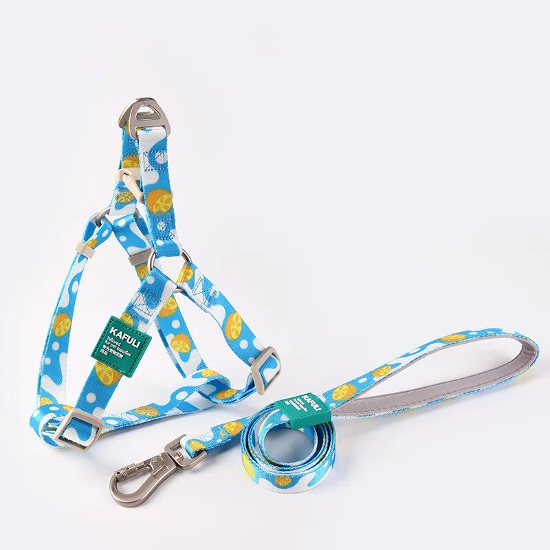 Durable Vest And Leash