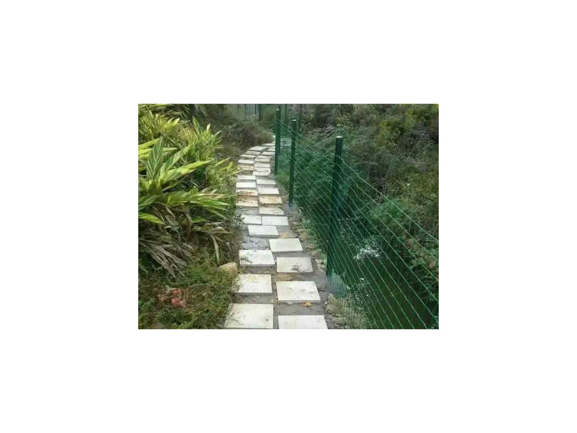 Fencing 1.8x30m PVC Coated Wire Netting Fence