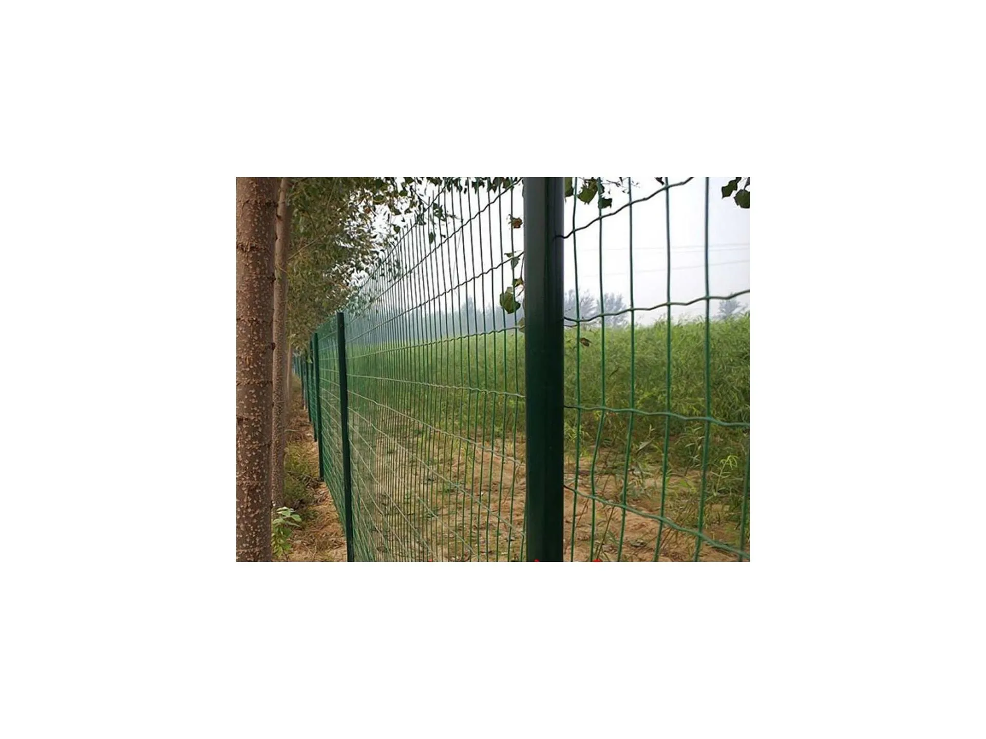 Fencing 1.8x30m PVC Coated Wire Netting Fence