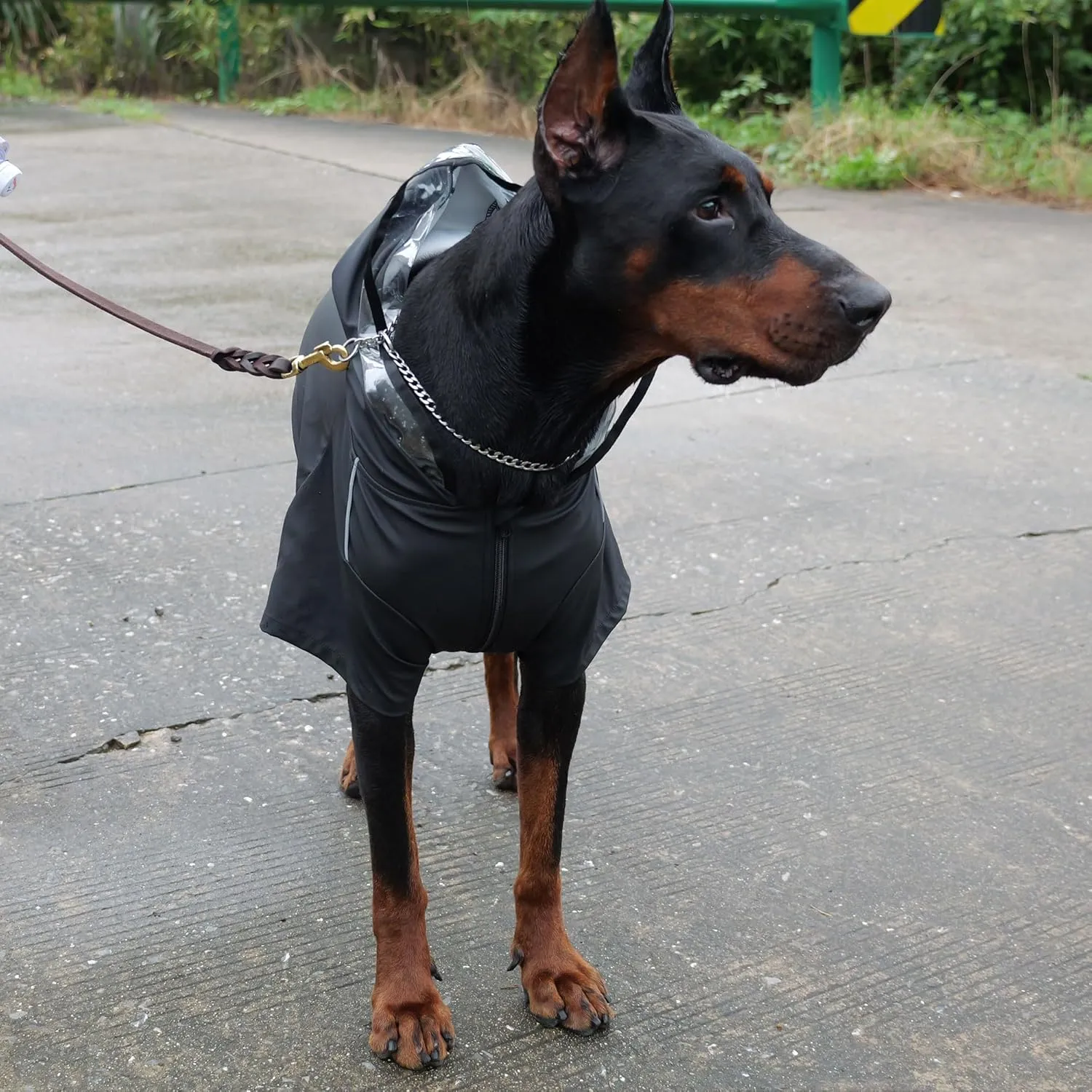 Four-Legged Full Coverage Waterproof Dog Raincoat with Reflective Features Pet Raincoats for Large Medium Small Dogs Black L