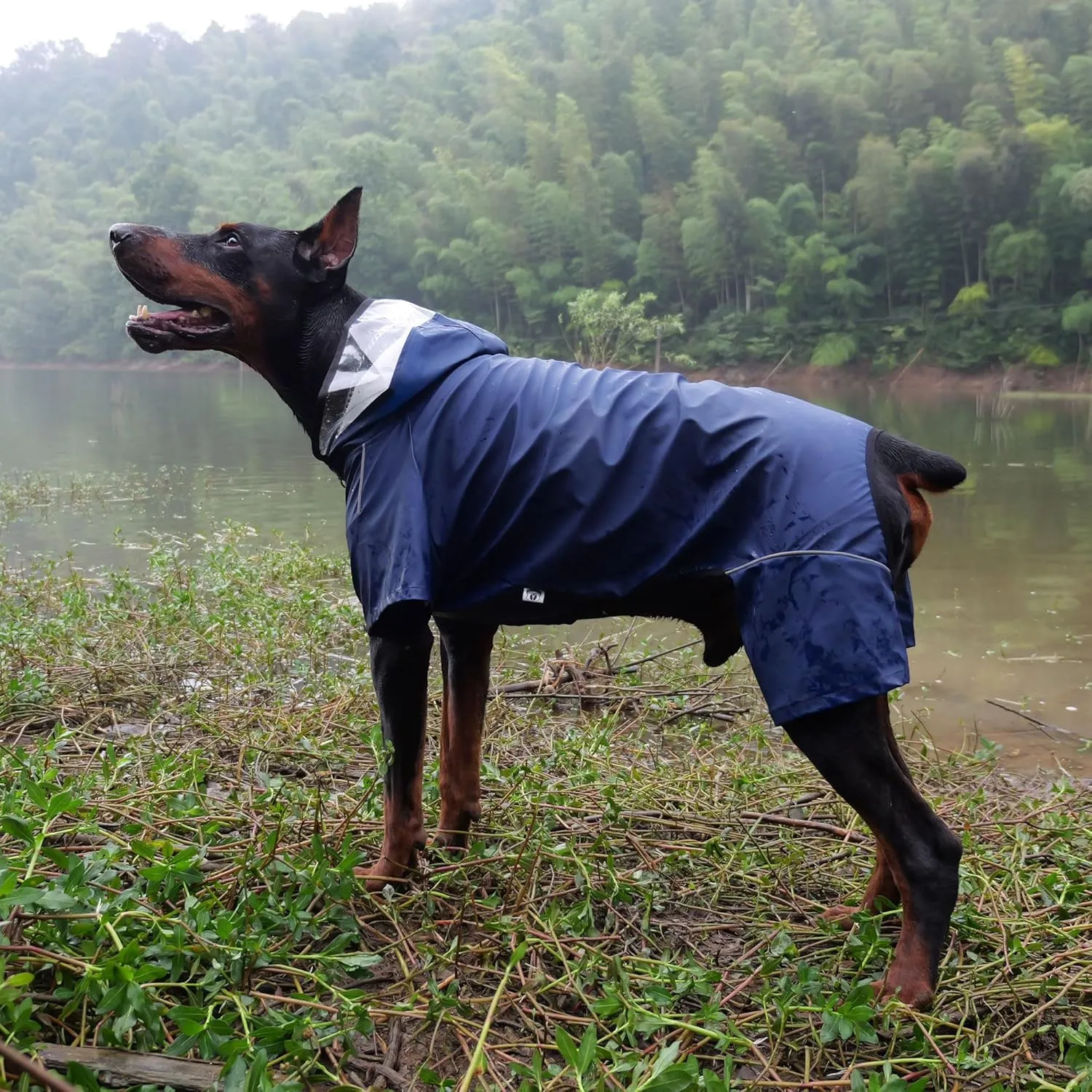 Four-Legged Full Coverage Waterproof Dog Raincoat with Reflective Features Pet Raincoats for Large Medium Small Dogs Navy Blue L