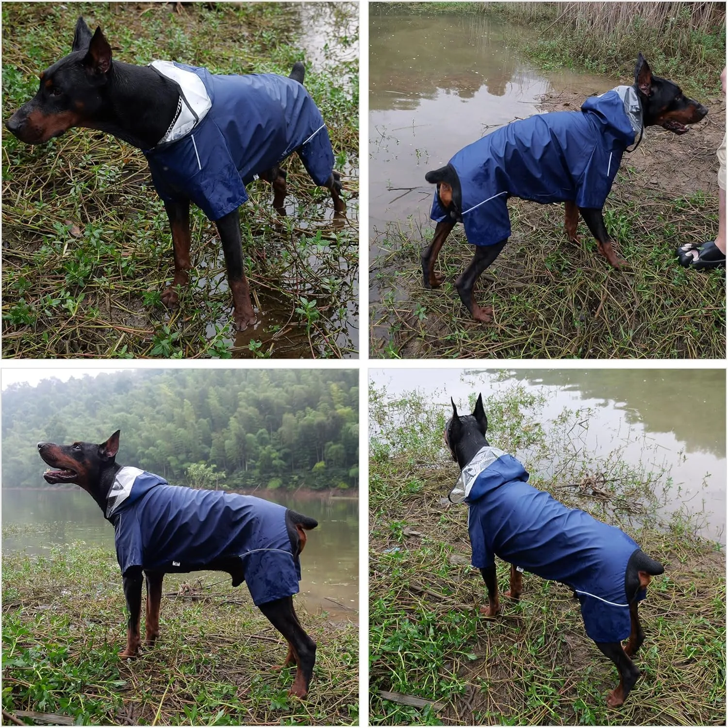 Four-Legged Full Coverage Waterproof Dog Raincoat with Reflective Features Pet Raincoats for Large Medium Small Dogs Navy Blue L