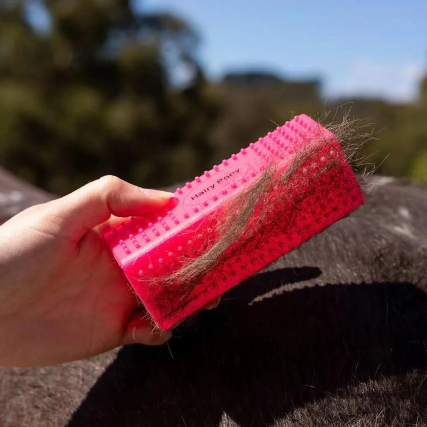 Hairy Pony Grooming Block