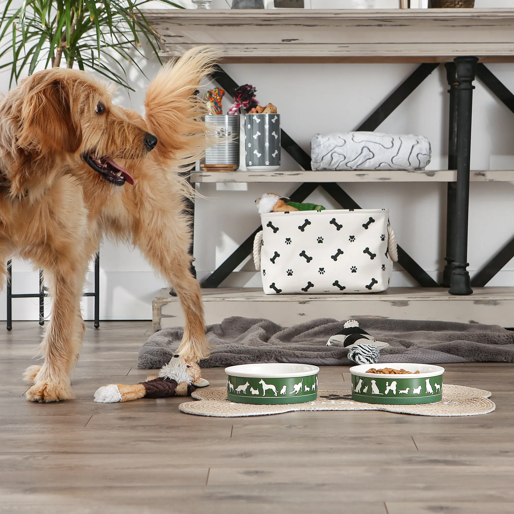 Hunter Green Dog Show Pet Bowl Set/2, Large 3.75 C. Capacity