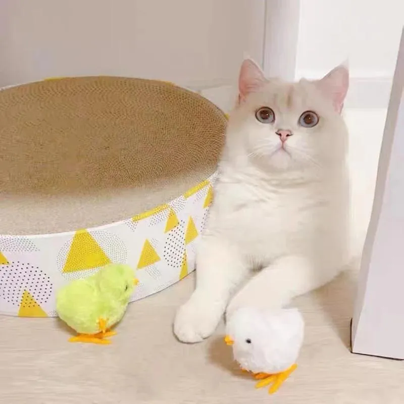 Interactive Jumping Chicken  Fun Pet Toy Random Color