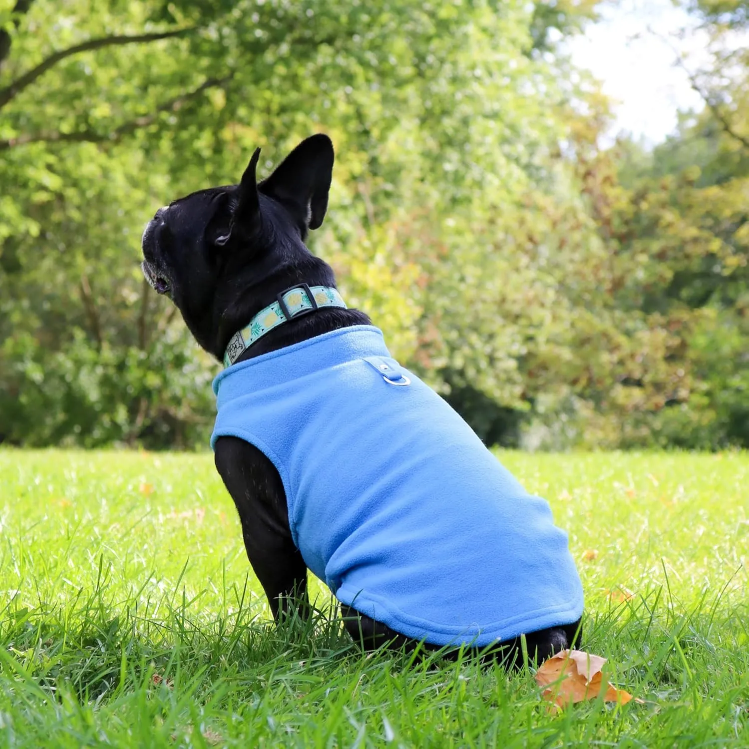 JACKO & CO - Fleece Vest Sweater with Leash Ring - Soft Lightweight Breathable for Puppies Small Medium Dogs, Kitten, Cats, Chihuahua - Warm for Fall/Autumn/Winter (Blue, X-Large 17-25lbs)