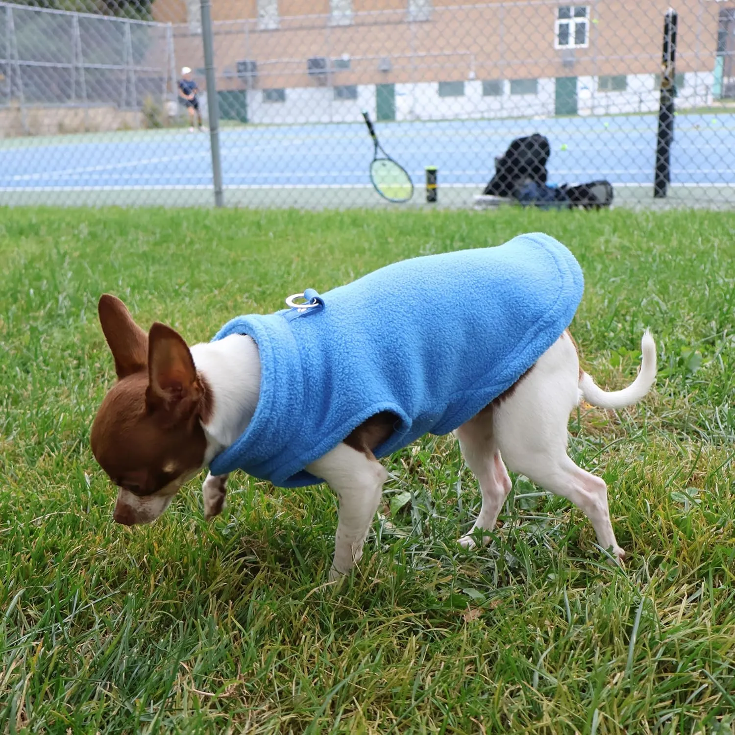 JACKO & CO - Fleece Vest Sweater with Leash Ring - Soft Lightweight Breathable for Puppies Small Medium Dogs, Kitten, Cats, Chihuahua - Warm for Fall/Autumn/Winter (Blue, X-Large 17-25lbs)