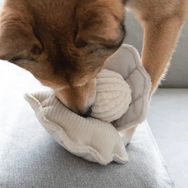 LAMBWOLF COLLECTIVE - OYSTER POP DOG TOY