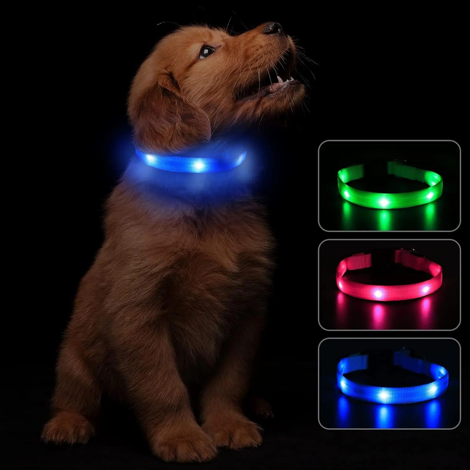 Led Dog Collar, USB Rechargeable Light Up Dog Collars for Small Dogs&Large Cats, Glowing Pet Dog Collar for Night Safety Water Resistant Lighted Puppy Collar (Blue, 9-12.6 Inches)