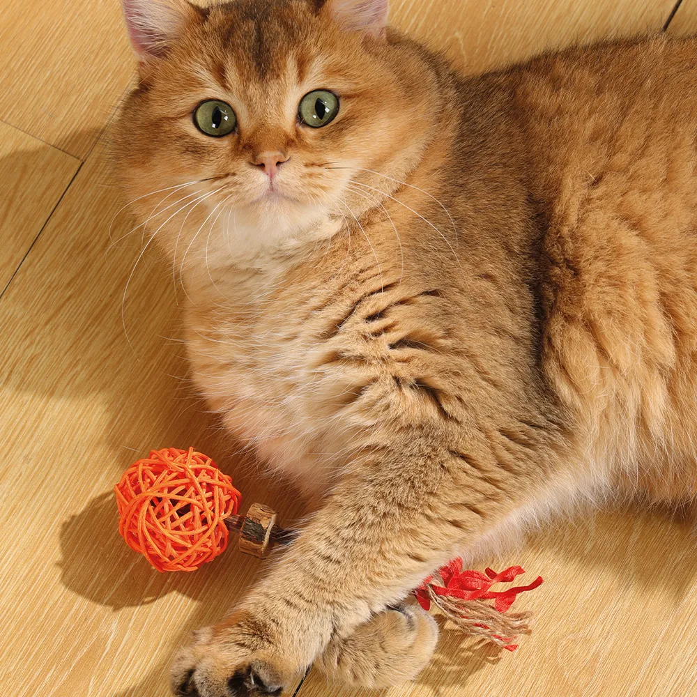 M-PETS Charmy Amulet Matatabi Orange Catnip Cat Toy