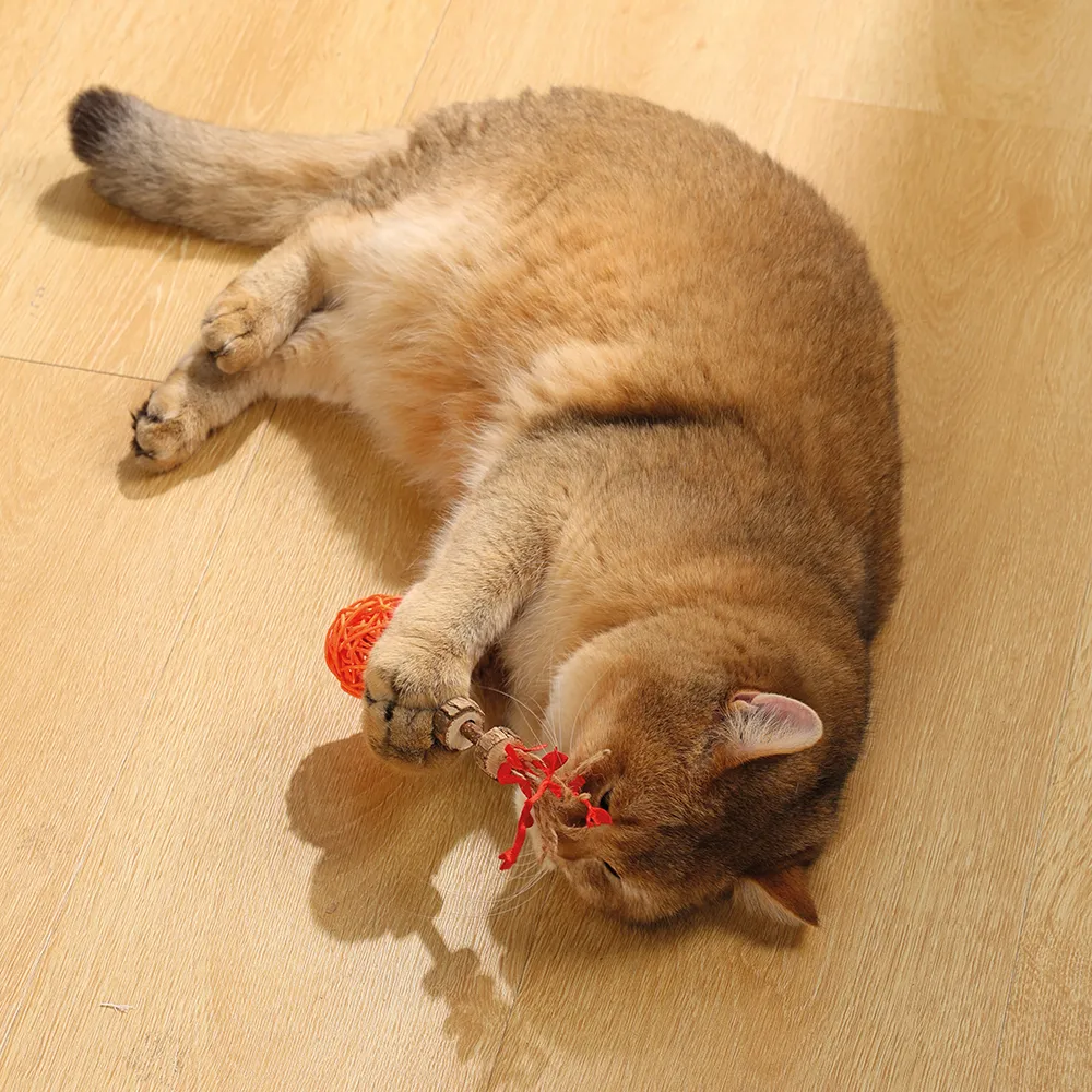 M-PETS Charmy Amulet Matatabi Orange Catnip Cat Toy