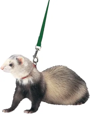 Marshall Ferret Harness and Lead, Hunter Green