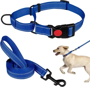 Martingale Dog Collar and Leash Set Martingale Collars for Dogs Reflective Martingale Collar for Small Medium Large Dogs(Blue&S)