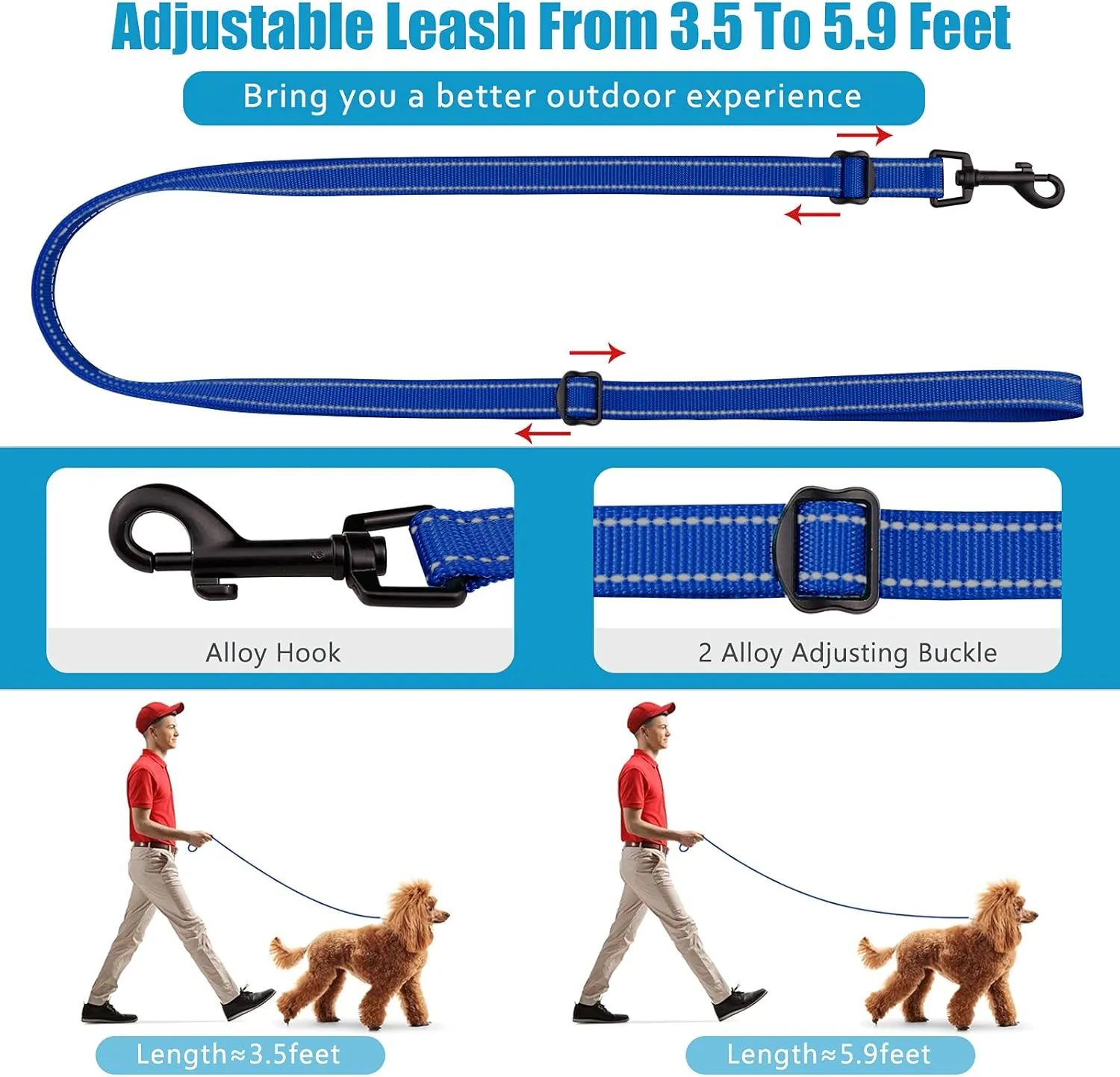 Martingale Dog Collar and Leash Set Martingale Collars for Dogs Reflective Martingale Collar for Small Medium Large Dogs(Blue&S)
