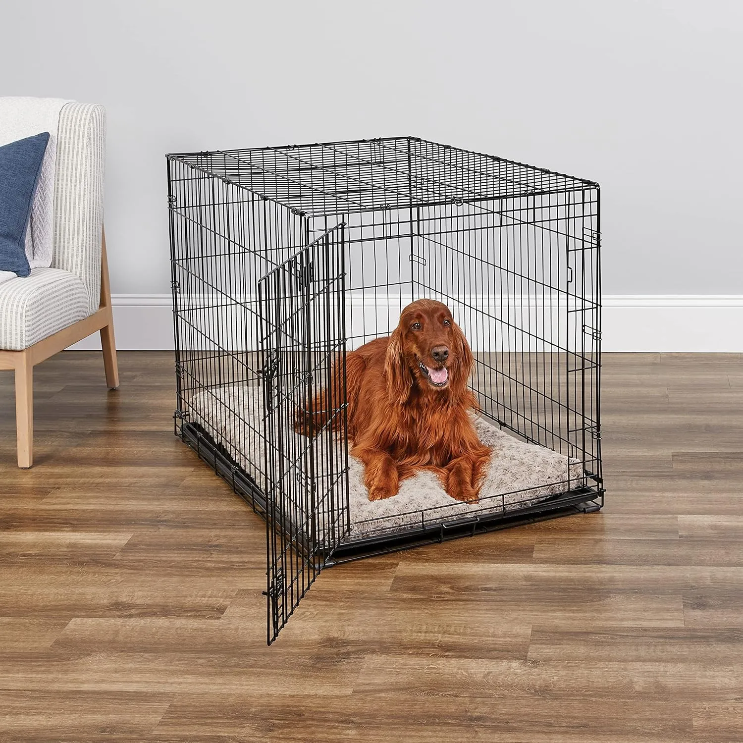 MidWest Homes for Pets Newly Enhanced Single & Double Door iCrate Dog Crate, Includes Leak-Proof Pan, Floor Protecting Feet, Divider Panel & New Patented Features