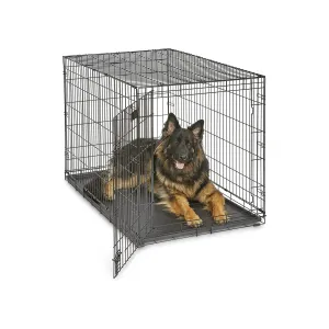 MidWest Homes for Pets Newly Enhanced Single Door 48 Inch with Divider iCrate Dog Crate, Includes Leak-Proof Pan
