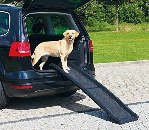Multi-Purpose Bi-Fold Ramp