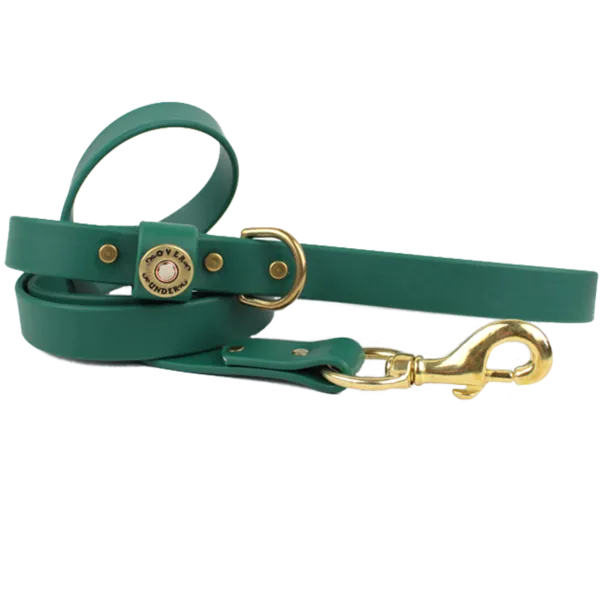 Over Under ~ Dog Leash ~ Water Dog