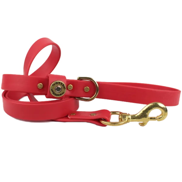 Over Under ~ Dog Leash ~ Water Dog