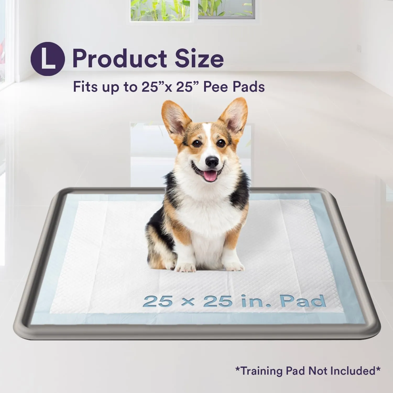 Pee Pad Tray Holder for Dogs - Fits Up to 25 x 25 in. Square Potty Training Pads No Spill Raised Lip High Edge Silicone Mat, Extra Thick and Non-Slip for Indoor Floor Protection (Large, Grey) | eenk