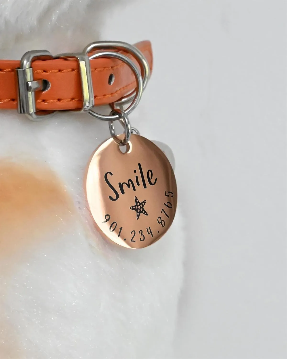 Personalized Lovely Symbols Dog Tags and Cat Tags Custom Engraved Stainless Steel Pet ID Tag (Small, Rose Gold)